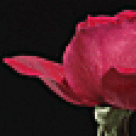 rosy111