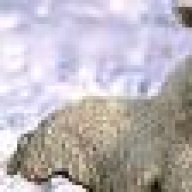 erathal