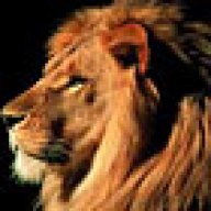 Lion_Heart
