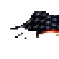 cat404