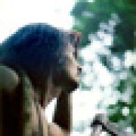 timon