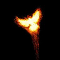 vectorizer