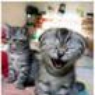 ysdshan22