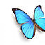 s_butterfly