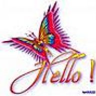 Hello!