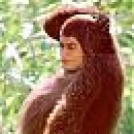 shashi1992