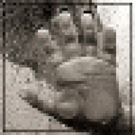 citlejohef