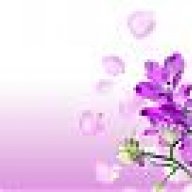 flower123