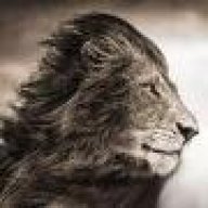 LioN_SaPi3n