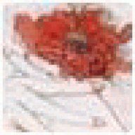 BigGarykzxc