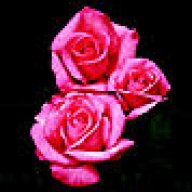 sajith_amith