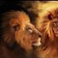 Lion Heart