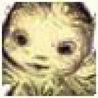 Zessagizige