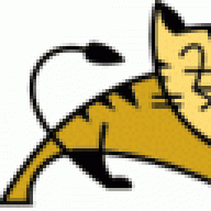 tom_cat