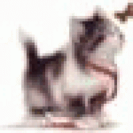 linockaqfury