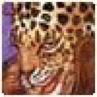 PeterStymnignosott