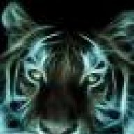 X_tiGer_X