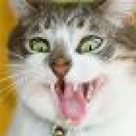 fozytroniks