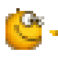 TS13