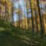 pissuporak