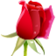 *******