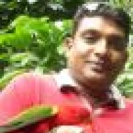 Lasantha Munaweera