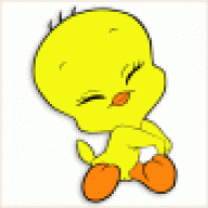 Qteie