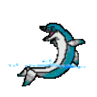 lilruchira