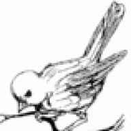 pranama499