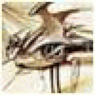 Occaskgat