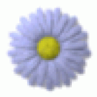 escataDut