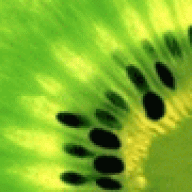 scuggifassumb