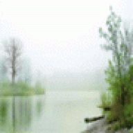 Rourdynor