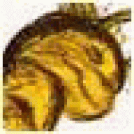 BKDavid