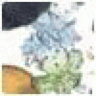 QHFredrick