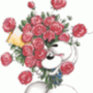 lankamaxx