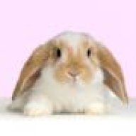 Bunny1970