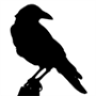The Crow 2011