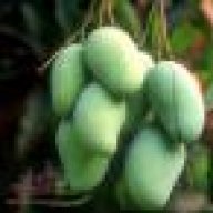 mangofriend
