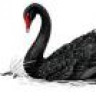 Black Swan