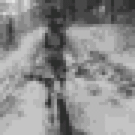 කලු පූසා