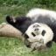 panda_baba