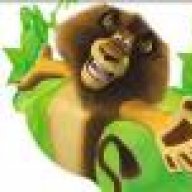 Alex the lion
