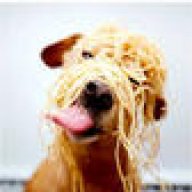 noodles