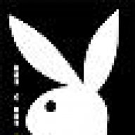 playboy