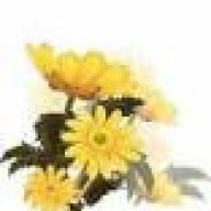 _madhu