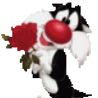 randima rulz