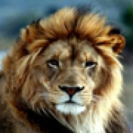 ~Zimba~