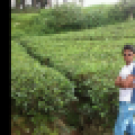 princeofsandun