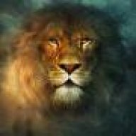 Azlan Lion